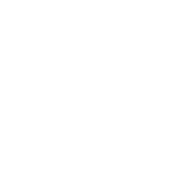 BridgeASL logo